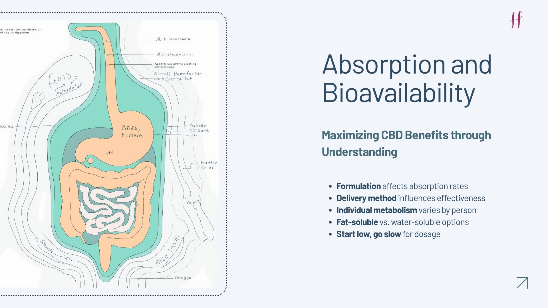 Absorption and Bioavailability